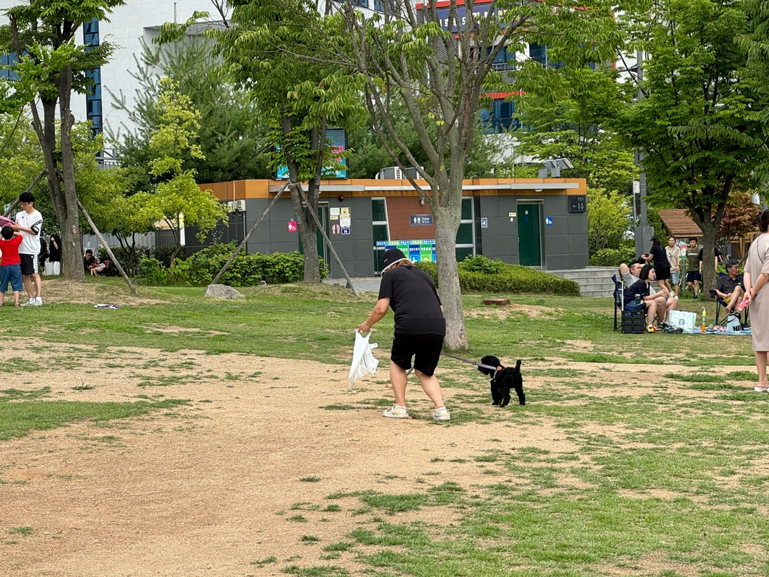 14.jpg