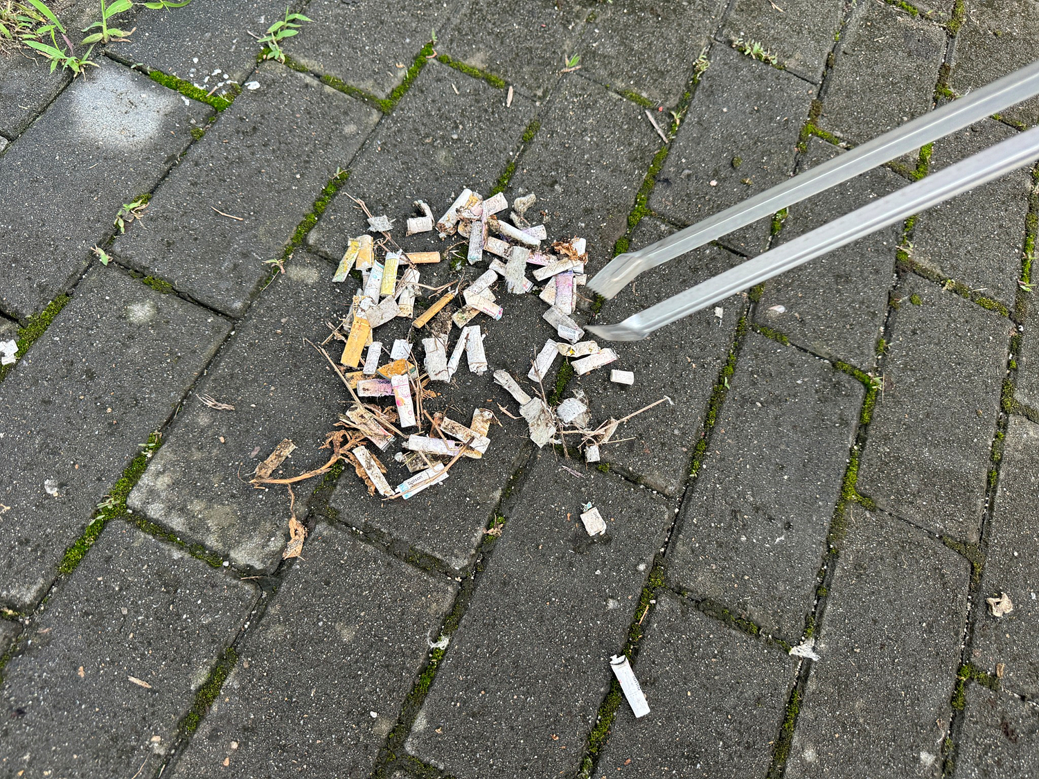 16.jpg 16.jpg